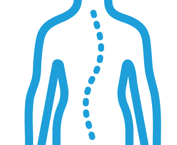 body and spine graphic